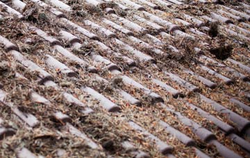 Staples Hill roof cleaning companies