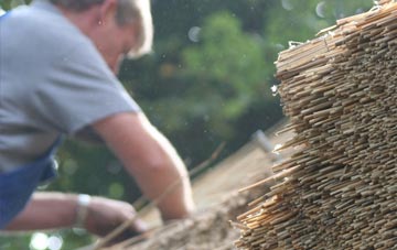 professional Staples Hill thatchers