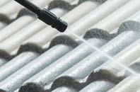 rated Staples Hill roof cleaning companies