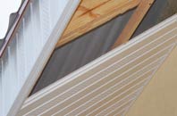 rated Staples Hill soffit repair companies